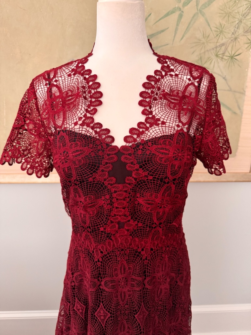 NWT Red Lace Evening Gown by Cathering Deane